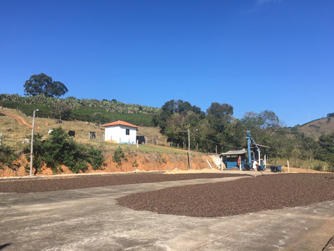 Brazil, Minas Gerais, Fazenda Floresta
