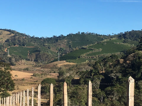 Brazil, Minas Gerais, Fazenda Floresta