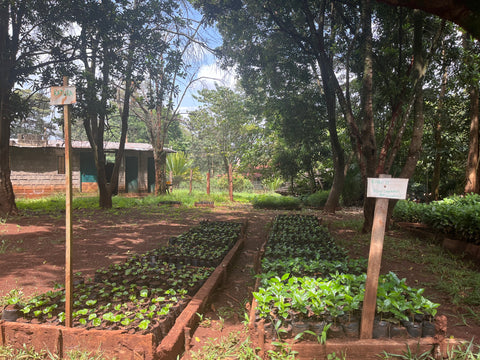 Kenya, Thika, Chania Estate