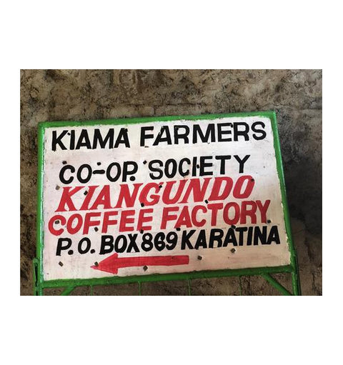 Kenya, Nyeri, Kiangundo farm