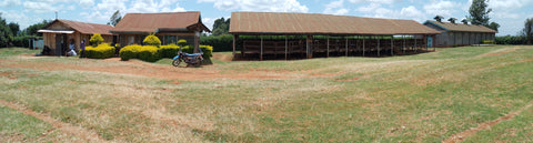 Kenya, Kirinyaga, Kabingara farm