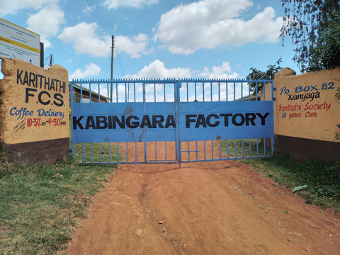 Kenya, Kirinyaga, Kabingara farm