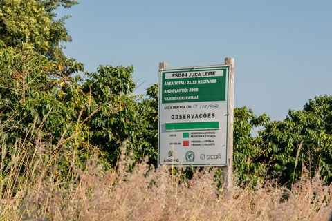 Brazilia, Mococa, Fazenda Matao