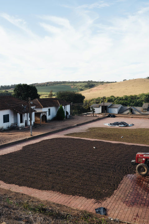 Brazilia, Mococa, Fazenda Matao