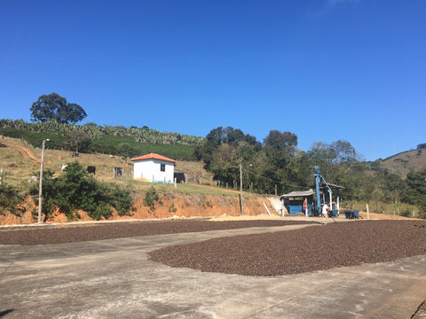 Brazil, Carmo de Minas, Fazenda Bora Fora