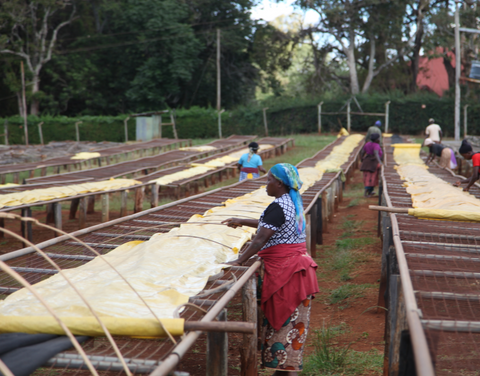 Kenya, Thika, Chania Estate