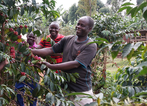 Uganda, Mt. Elgon